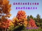 ֹ,󷨵ӹ編ִʦ𻪵(20)
