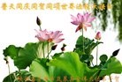ֹ,󷨵ӹ編ִʦ𻪵(24)
