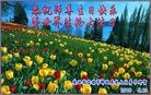 ֹ,󷨵ӹ編ִʦ𻪵(25)

