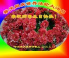 ֹ,󷨵ӹ編ִʦ𻪵(20)
