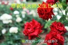 ֹ,󷨵ӹ編ִʦ𻪵(26)
