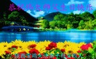 ֹ,󷨵ӹ編ִʦ𻪵(26)
