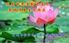 ֹ,󷨵ӹ編ִʦ𻪵(22)
