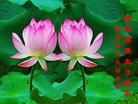 ֹ,󷨵ӹ編ִʦ𻪵(18)
