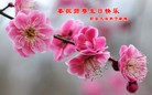 ֹ,󷨵ӹ編ִʦ𻪵(18)
