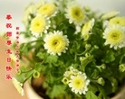 ֹ,󷨵ӹ編ִʦ𻪵(18)
