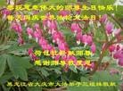 ֹ,󷨵ӹ編ִʦ𻪵(20)
