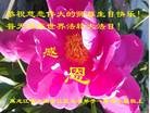 ֹ,󷨵ӹ編ִʦ𻪵(20)
