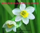 ֹ,󷨵ӹ編ִʦ𻪵(22)
