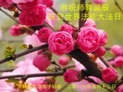 ֹ,д󷨵ӹ編ִʦ𻪵(23)

