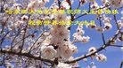 ֹ,󷨵ӹ編ִʦ𻪵(21)
