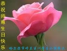 ֹ,󷨵ӹ編ִʦ𻪵(21)
