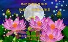 ֹ,󷨵ӹ編ִʦ𻪵(24)
