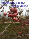 ֹ,󷨵ӹ編ִʦ𻪵(25)

