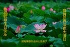 ֹ,ϴ󷨵ӹ編ִʦ𻪵(24)
