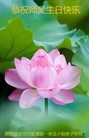ֹ,󷨵ӹ編ִʦ𻪵(26)
