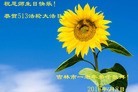 ֹ,д󷨵ӹ編ִʦ𻪵(23)
