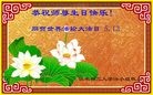 ֹ,ľ˹󷨵ӹ編ִʦ𻪵(20)
