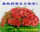 ֹ,󷨵ӹ編ִʦ𻪵(20)
