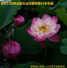 ֹ,󷨵ӹ編ִʦ𻪵(26)
