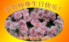 ֹ,󷨵ӹ編ִʦ𻪵(21)
