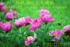 ֹ,ľ˹󷨵ӹ編ִʦ𻪵(20)
