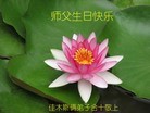 ֹ,ľ˹󷨵ӹ編ִʦ𻪵(20)
