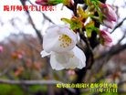 ֹ,󷨵ӹ編ִʦ𻪵(20)
