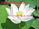 ֹ,󷨵ӹ編ִʦ𻪵(25)

