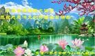 ֹ,󷨵ӹ編ִʦ𻪵(25)
