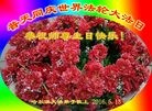 ֹ,󷨵ӹ編ִʦ𻪵(20)
