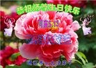 ֹ,ɹŴ󷨵ӹ編ִʦ𻪵(26)
