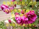 ֹ,󷨵ӹ編ִʦ𻪵(26)
