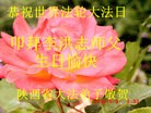 ֹ,󷨵ӹ編ִʦ𻪵(26)
