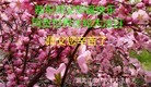 ֹ,󷨵ӹ編ִʦ𻪵(24)

