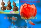 ֹ,󷨵ӹ編ִʦ𻪵(21)
