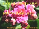 ֹ,󷨵ӹ編ִʦ𻪵(26)
