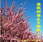 ֹ,󷨵ӹ編ִʦ𻪵(26)
