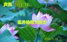 ֹ,д󷨵ӹ編ִʦ𻪵(28)
