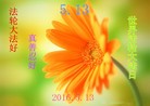 ֹ,д󷨵ӹ編ִʦ𻪵(28)
