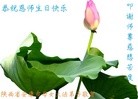 ֹ,󷨵ӹ編ִʦ𻪵(24)

