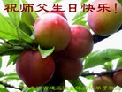 ֹ,󷨵ӹ編ִʦ𻪵(22)
