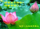ֹ,Ĵ󷨵ӹ編ִʦ𻪵(21)
