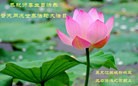 ֹ,󷨵ӹ編ִʦ𻪵(21)

