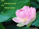 ֹ,󷨵ӹ編ִʦ𻪵(19)
