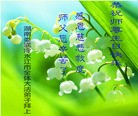 ֹ,ϴ󷨵ӹ編ִʦ𻪵(22)
