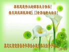 ֹ,󷨵ӹ編ִʦ𻪵(22)
