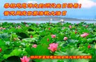 ֹ,ϴ󷨵ӹ編ִʦ𻪵(23)
