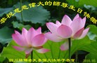 ֹ,Ĵ󷨵ӹ編ִʦ𻪵(24)
