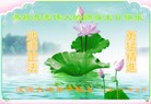 ֹ,ʡ󷨵ӹ編ִʦ𻪵(20)
